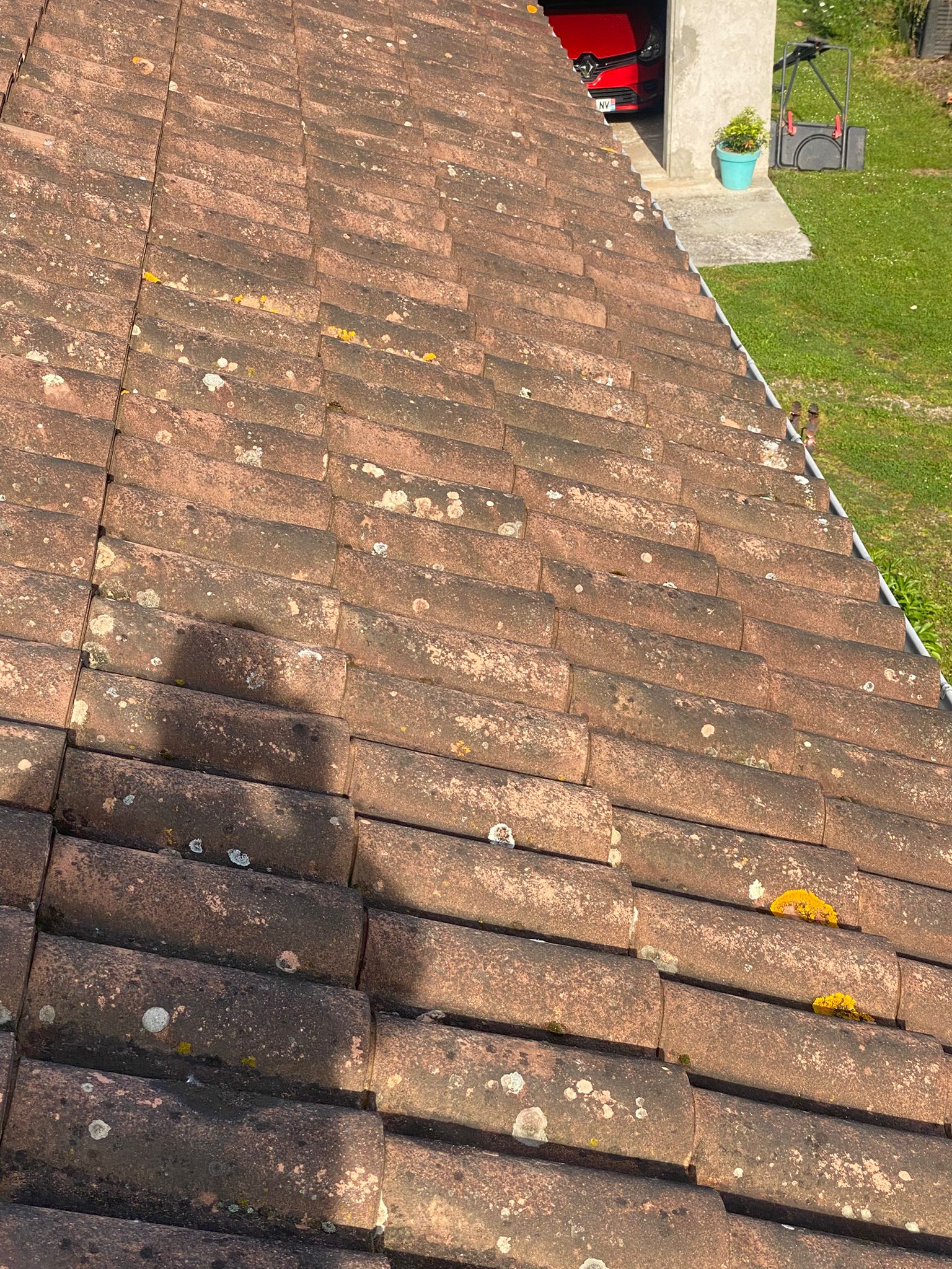 Toiture envahie par la mousse