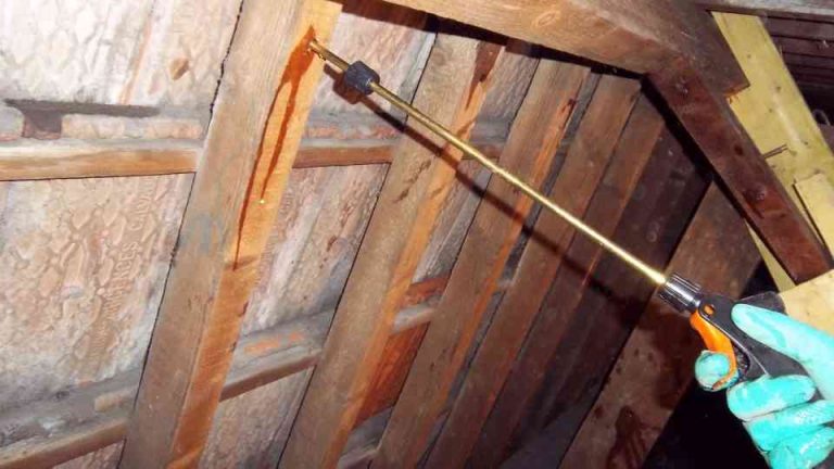 Poutres en bois de charpente